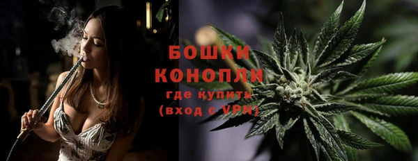 молекула духа Белокуриха