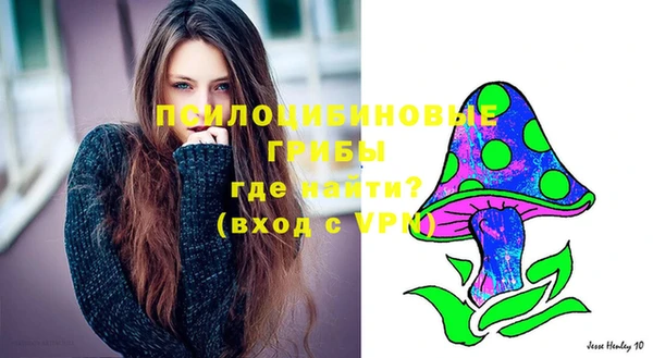 метадон Беломорск