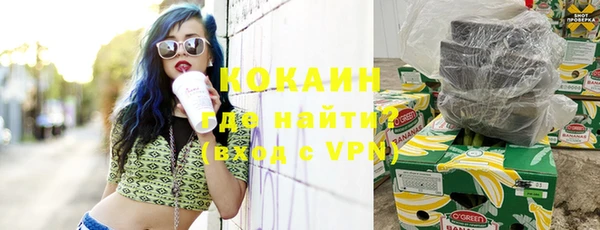 молекула духа Белокуриха