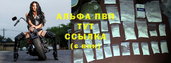 молекула духа Белокуриха