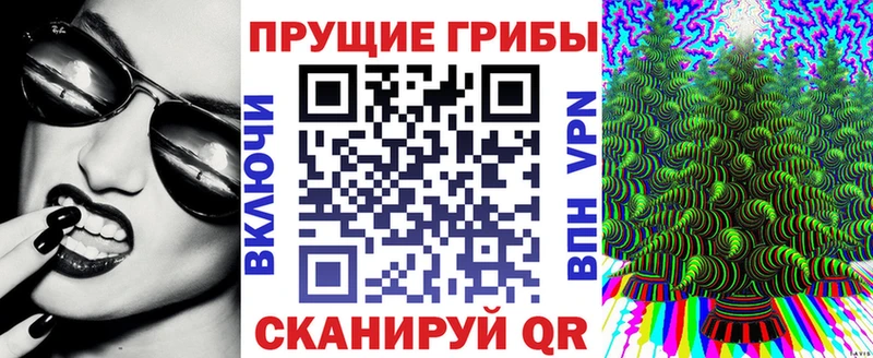 Псилоцибиновые грибы ЛСД  дарнет шоп  Гай 